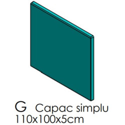 Forma capac mormant simplu ANS F2G 1100X1000X80 MM
